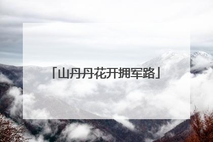 山丹丹花开拥军路